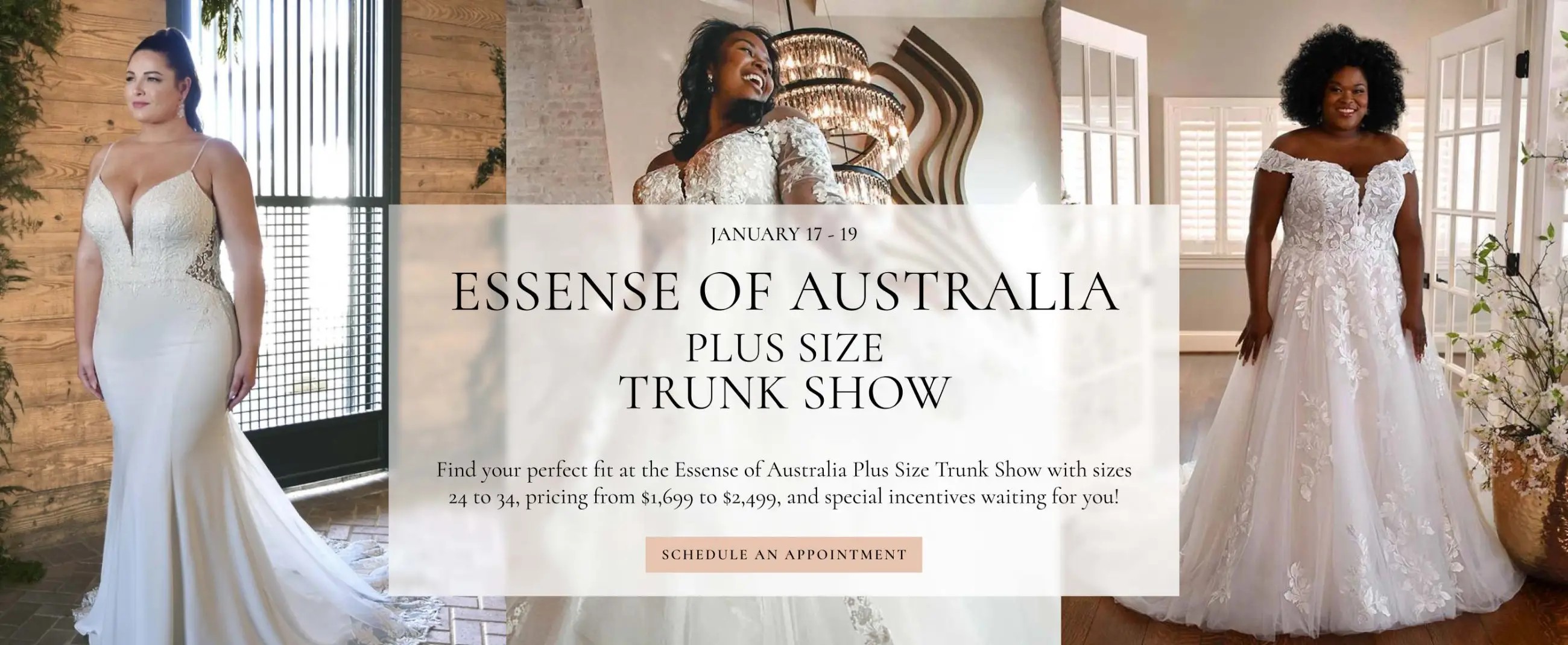 desktop essense of australia plus size trunk show banner