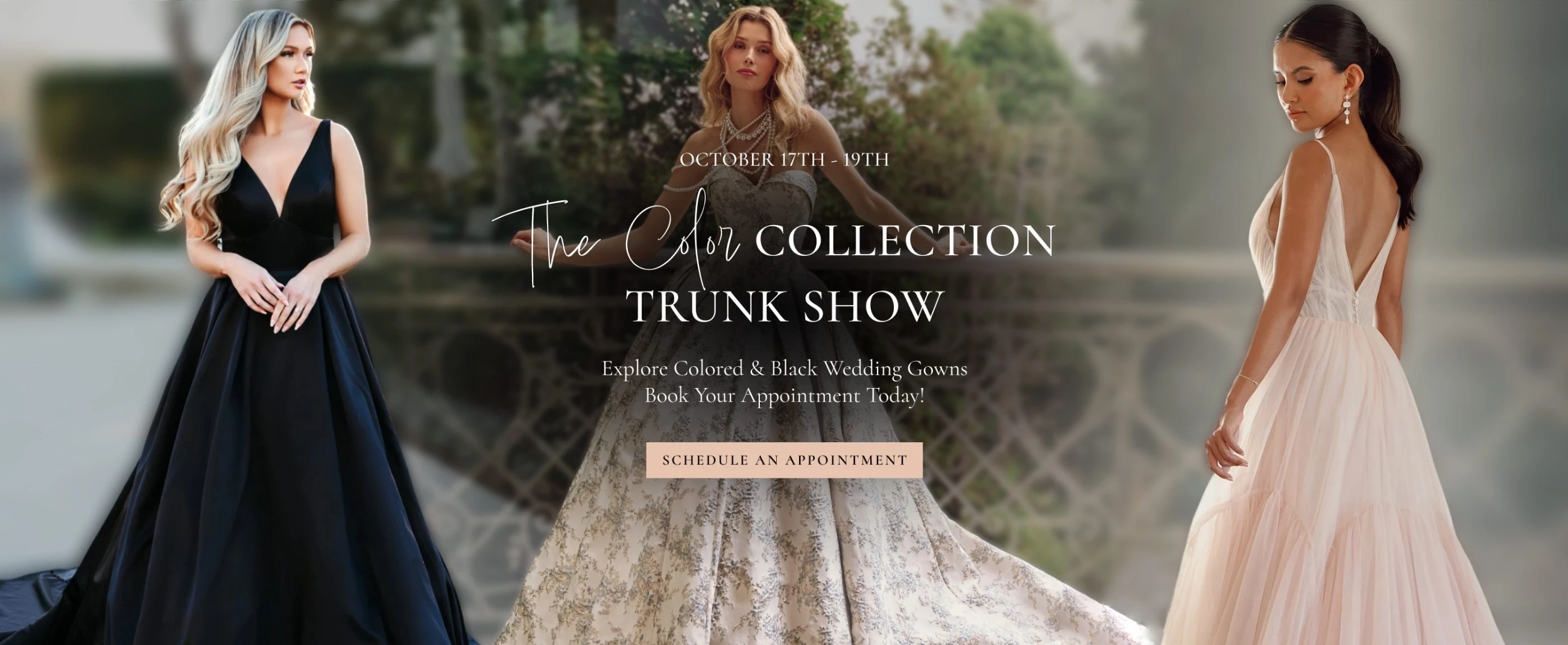 The Color Collection Trunk Show